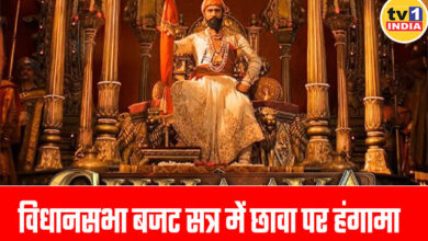 Controversy on Chhawa | Echo of Chhawa in the budget session, huge uproar over Abu Azmi's statement