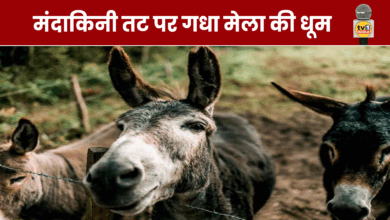 Donkey Fest: A unique donkey fair is held on the banks of the Mandakini River in Madhya Pradesh.