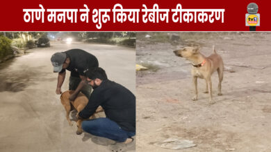 Rabies Pulse Vaccination Campaign Begins in Thane Municipal Corporation