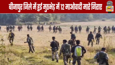 12 Maoists killed in encounter in Bijapur district
