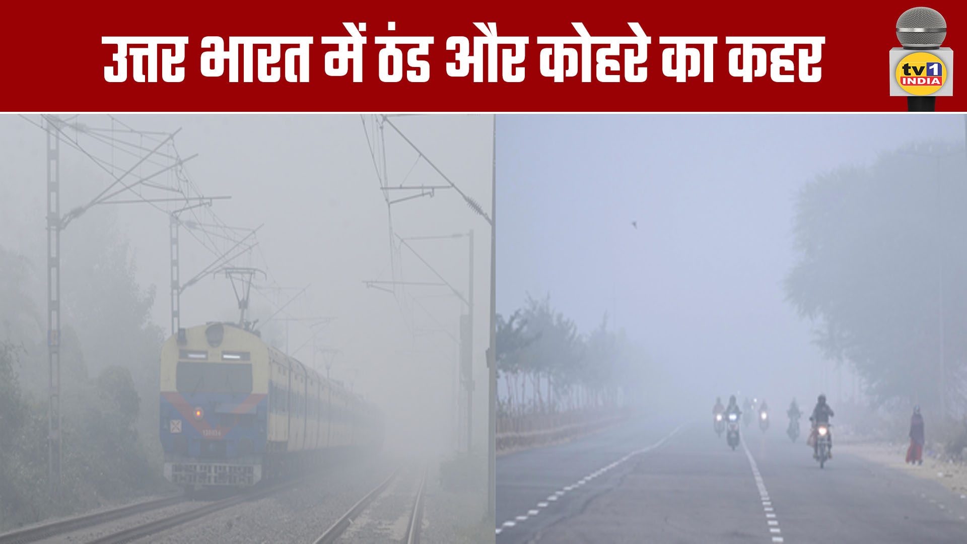 Cold Wave and Fog Grip North India
