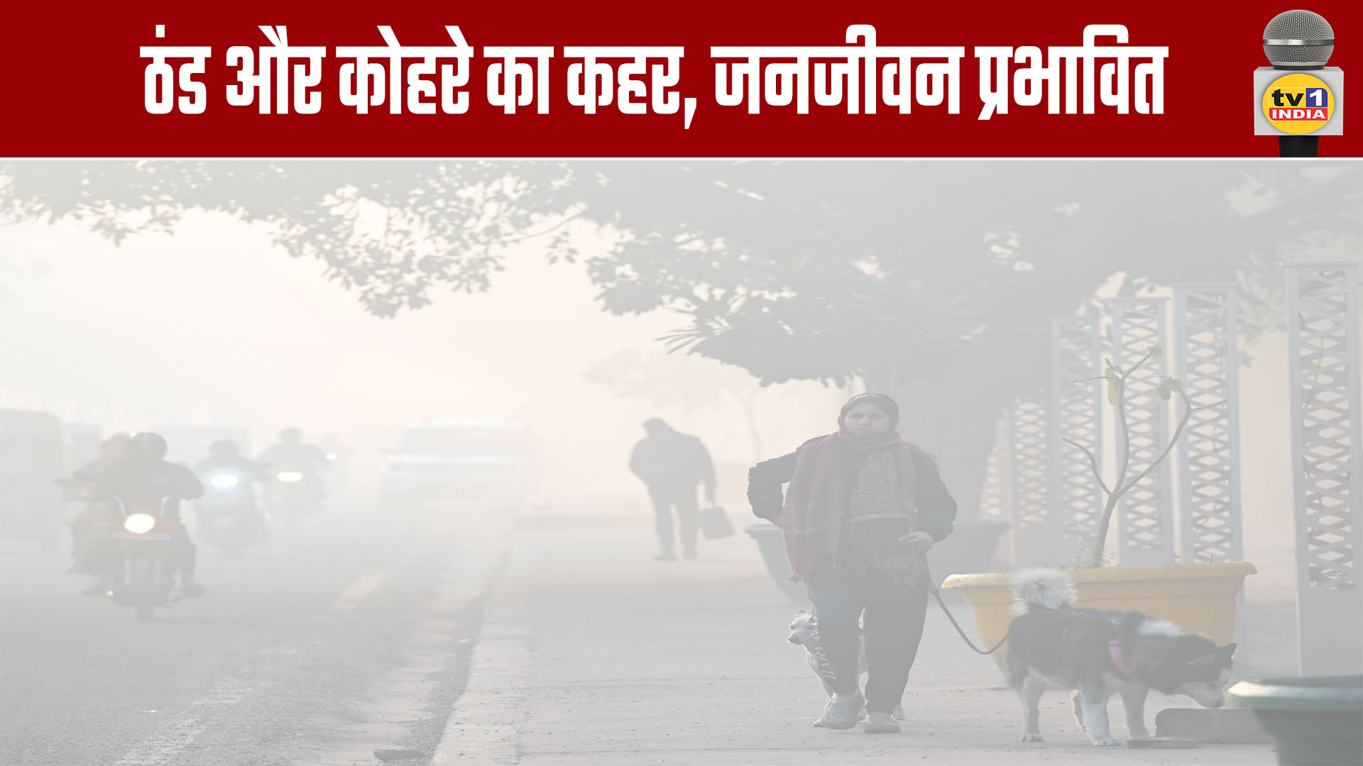 Cold Wave and Fog Wreak Havoc, Disrupting Daily Life