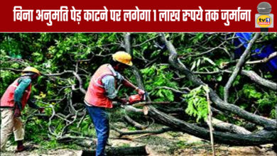 Cutting trees without permission will attract a fine of up to ₹1 lakh.