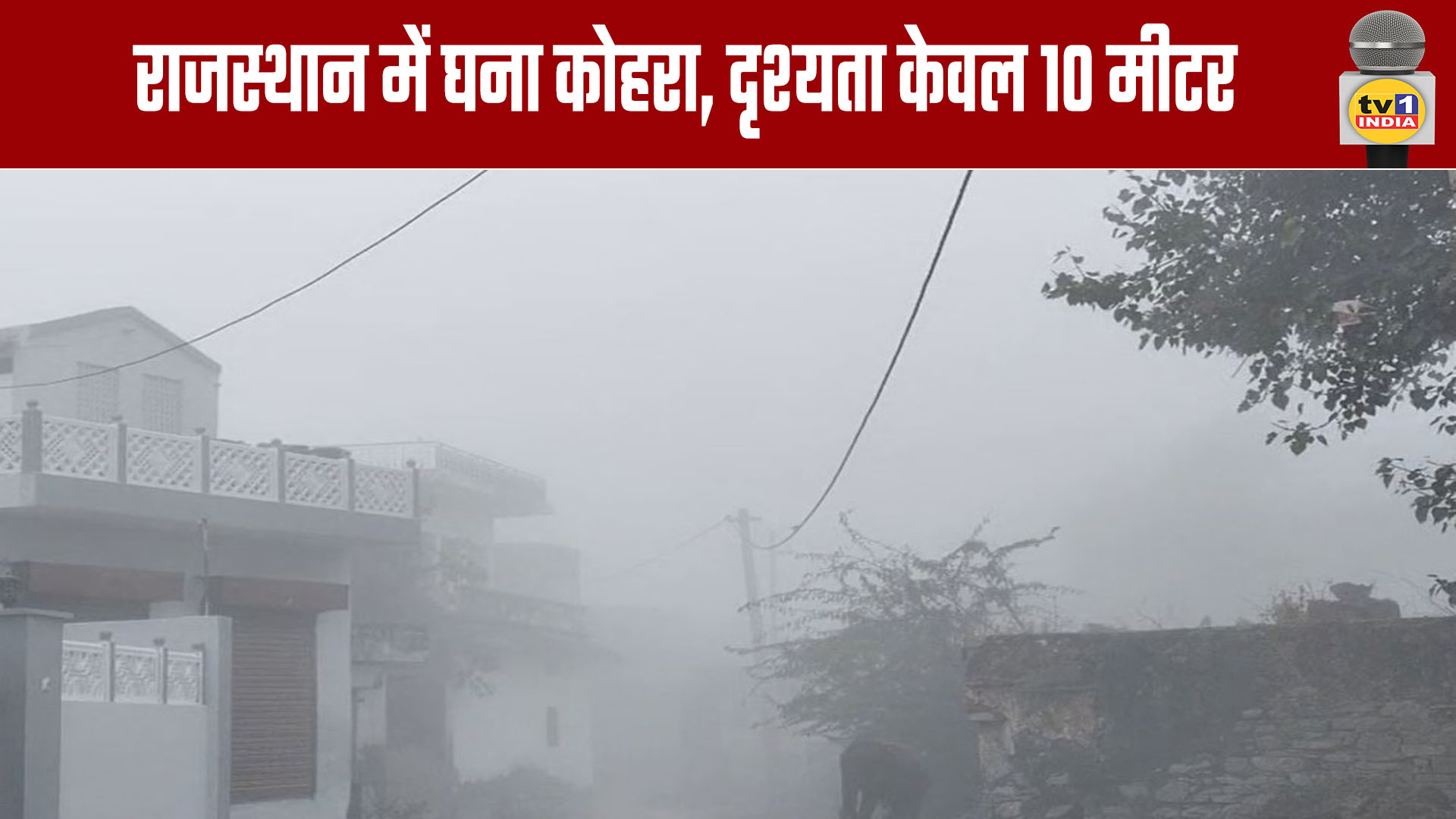 Dense Fog in Rajasthan, Visibility Reduced to Just 10 Meters