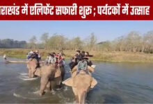 Elephant Safari Starts in Uttarakhand; Excitement in Tourists