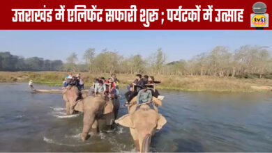Elephant Safari Starts in Uttarakhand; Excitement in Tourists