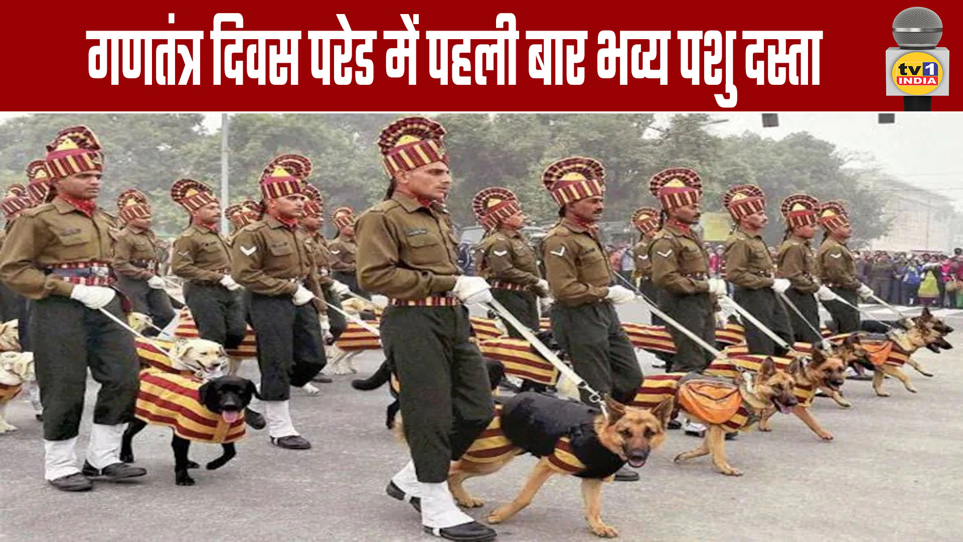 Grand Animal Contingent to Feature in Republic Day Parade for the First Time
