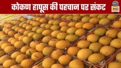 Is The Identity of Konkan Hapus in Danger