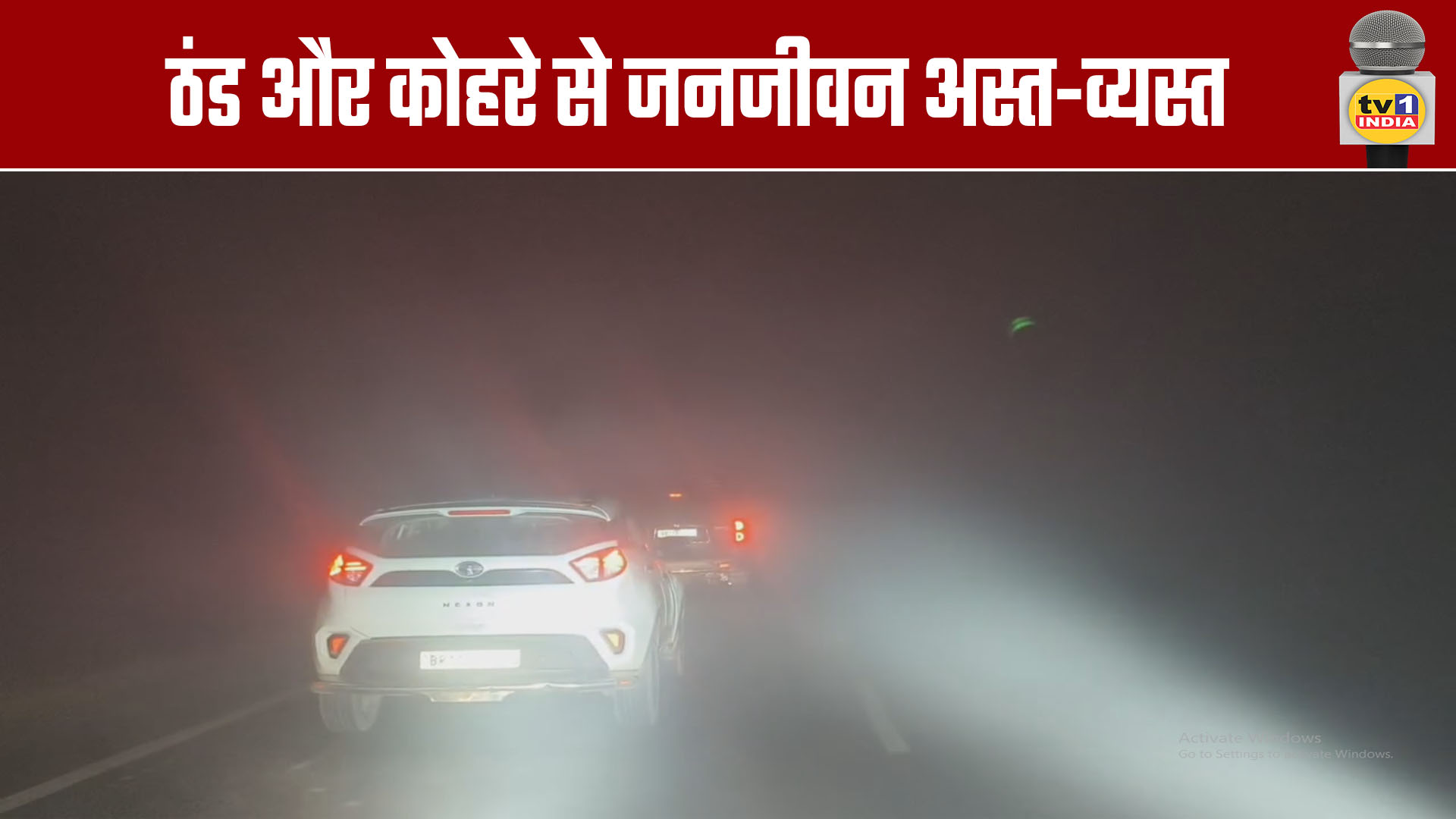 Life Disrupted by Cold and Fog