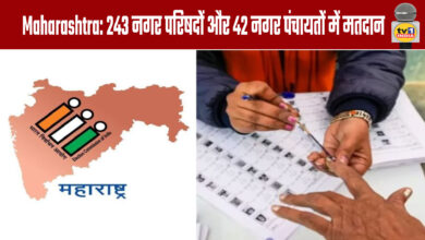 Maharashtra: Voting continues in 243 municipal councils and 42 municipal councils