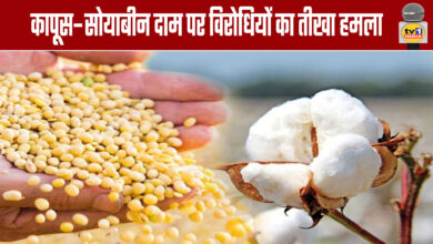 Opposition Parties Launch a Scathing Attack On Cottonseed and Soybean Prices