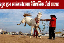 Sarangkheda's historic horse market begins