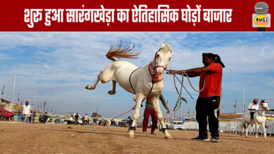 Sarangkheda's historic horse market begins