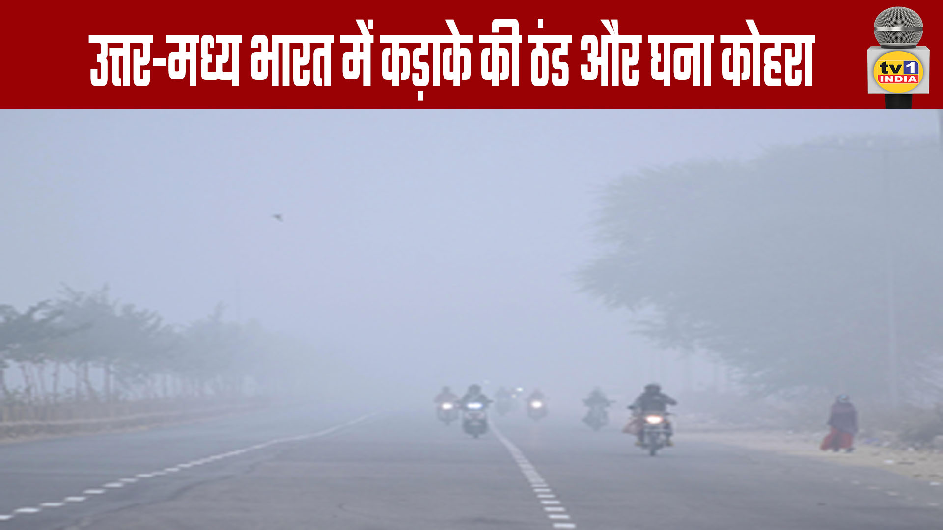 Severe Cold and Dense Fog in North-Central India