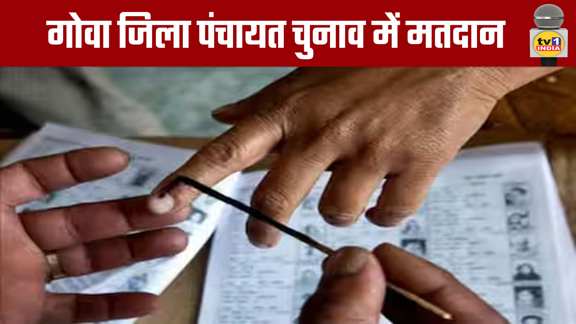 Voting Underway in Goa District Panchayat Elections
