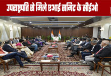 AI Summit CEOs Meet Vice President