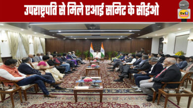 AI Summit CEOs Meet Vice President