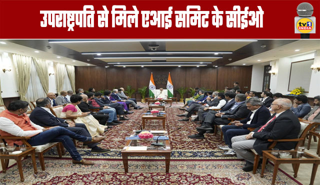 AI Summit CEOs Meet Vice President