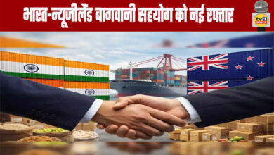India-New Zealand Horticulture Cooperation Gains New Momentum