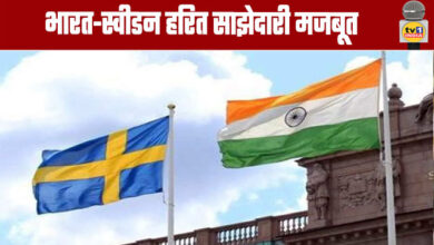 India-Sweden Green Partnership Strengthens