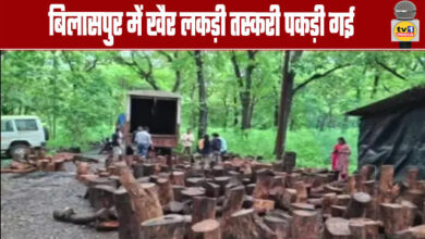 Khair Wood Smugglers Caught in Bilaspur