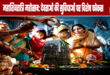 Maha Shivratri Festival: Special Focus on Arrangements for Deities