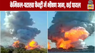 Bhiwadi Factory Fire: Massive Fire at Chemical-Firecracker Factory, Several Injured