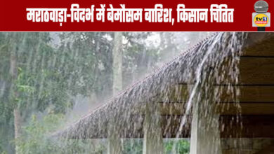 Unseasonal Rains in Marathwada and Vidarbha, Farmers Worried
