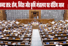 Budget Session: Voting on Home, External Affairs, and Agriculture Ministries Today