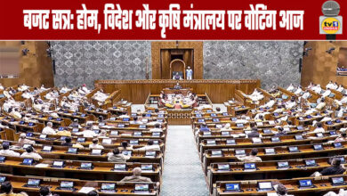 Budget Session: Voting on Home, External Affairs, and Agriculture Ministries Today