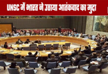 India raises terrorism issue at UNSC