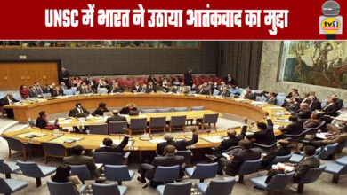 India raises terrorism issue at UNSC