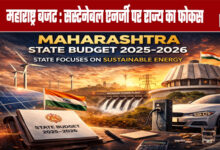 Maharashtra Budget: State Focuses on Sustainable Energy