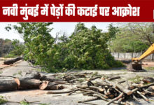 Outrage over tree felling in Navi Mumbai