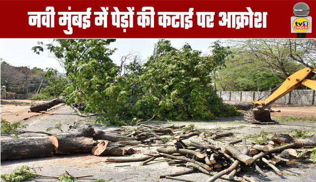 Outrage over tree felling in Navi Mumbai