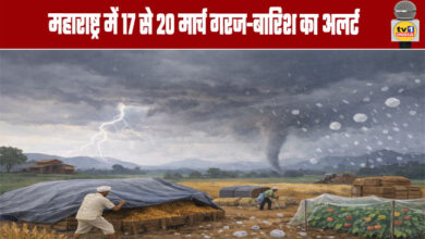 Thunderstorm and Rain Alert for Maharashtra March 17–20