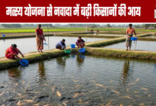 Fisheries Scheme Boosts Farmers' Income in Nawada