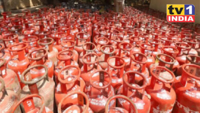 Government Claims: LPG Supply Completely Normal