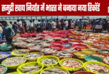 India Sets New Record in Seafood Exports