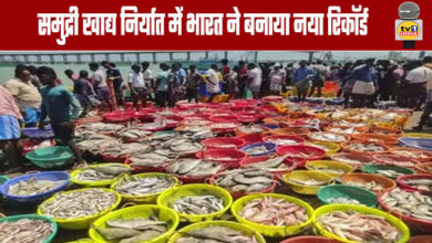 India Sets New Record in Seafood Exports