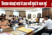 MLA Mandatai Mhatre Raises Key Issues Concerning Navi Mumbai