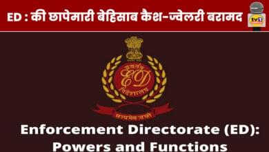 ED team found large bundles of cash hidden in cupboards