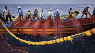 Government of India notified the Rules for “Sustainable Harnessing of Fisheries in the Exclusive Economic Zone (EEZ)”